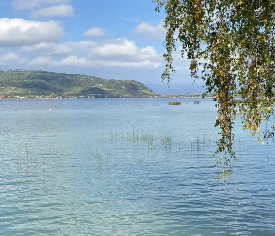 Meine Bilder Meine Bilder