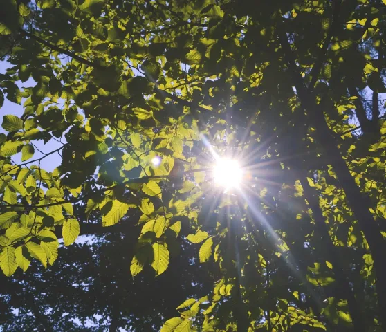 Meine Bilder Meine Bilder